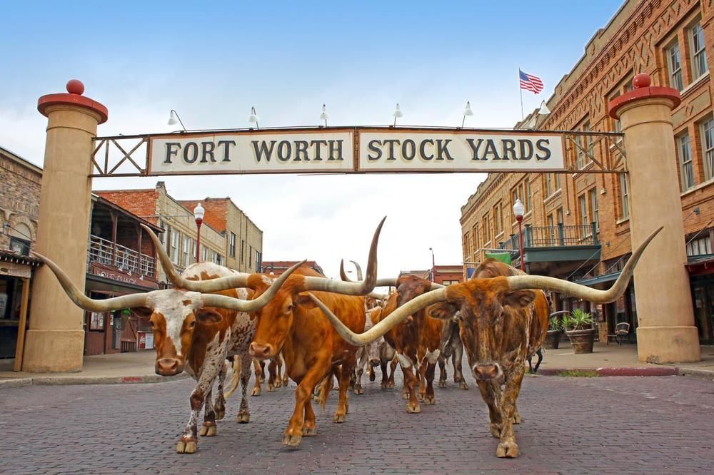 Scottish Inns Fort Worth Exteriér fotografie